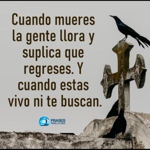 Meet your Posher, Roberto